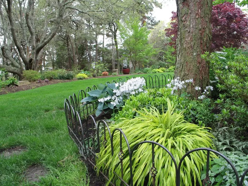 Perennial Solutions researched project photo