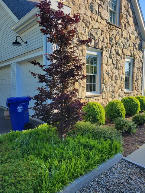 work photo from damatolandscaping.com