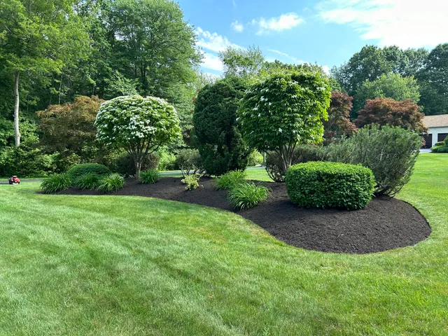 Coastal Green Landscaping LLC work photo