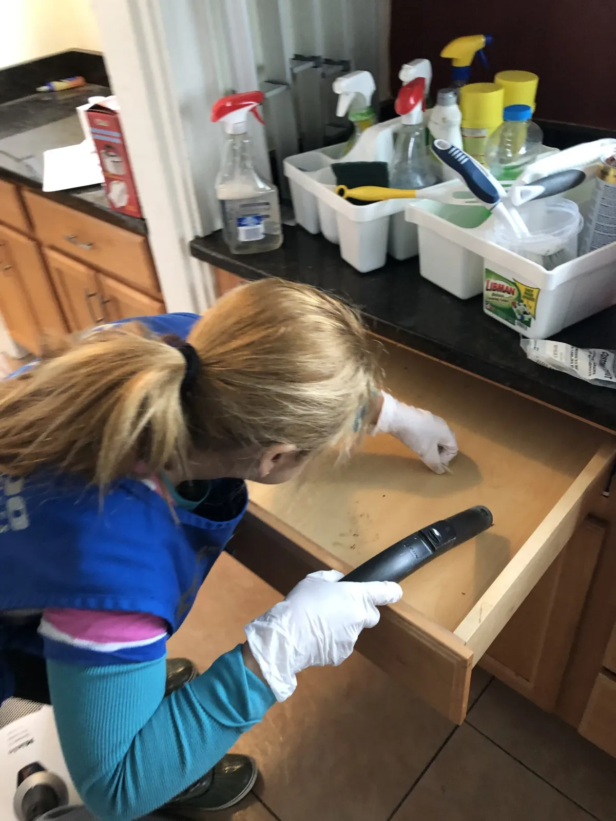 work photo from rochedocleaning.com