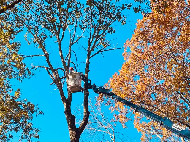 85 Feet Spider Lift