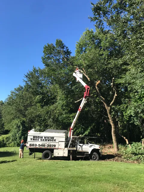 High View Tree Service LLC work photo