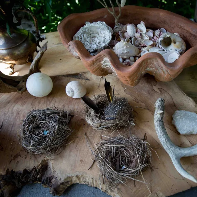 Helia+Sacred+Space+and+Land+Design_+lisa_vollmer_photography-6562_fhP.jpg