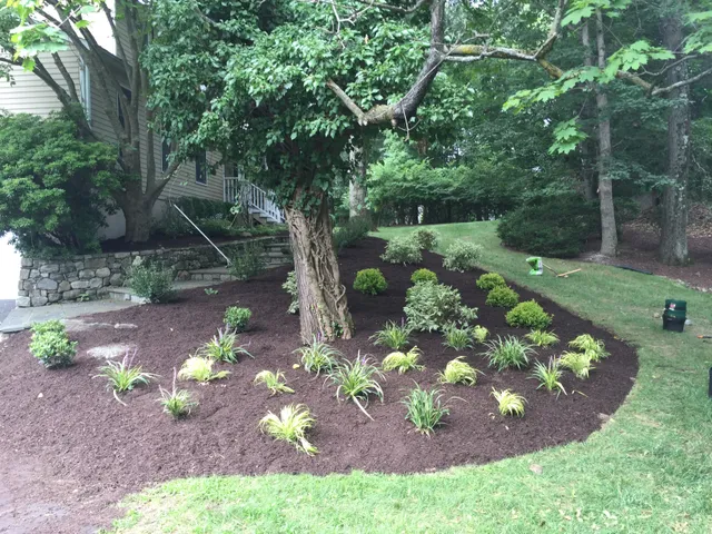 NV Landscaping work photo