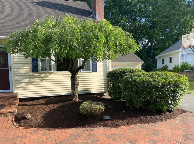 Dot's Lawn Service LLC work photo