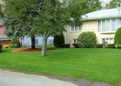 Residential Landscaping Photos