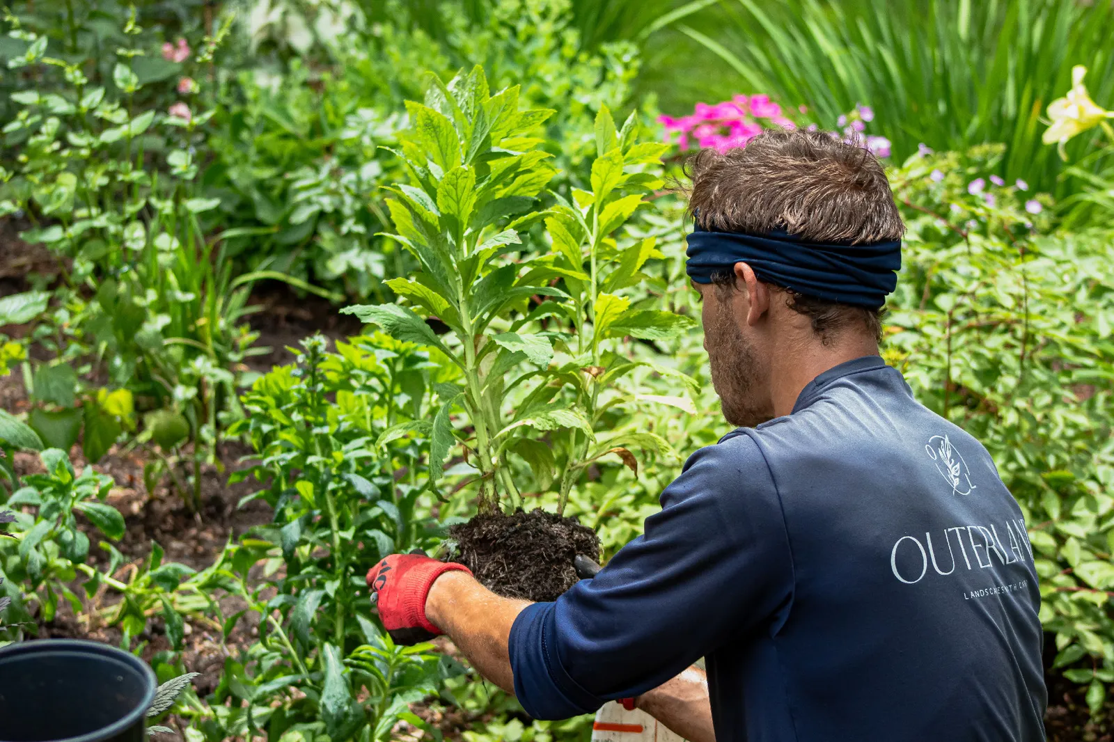 Gardening Services by Expert from Outerland in Cape Cod