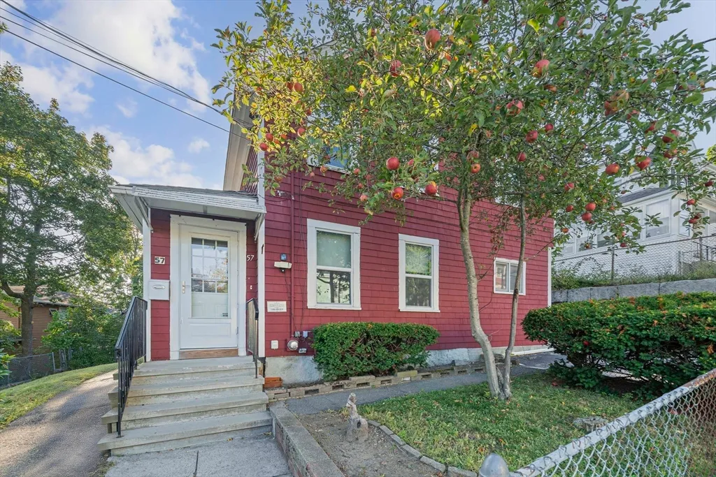 57 Buckley St