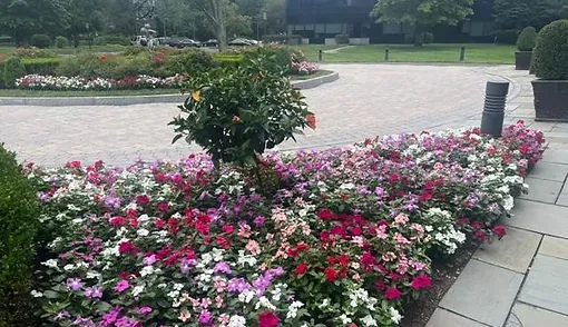 annual flower display