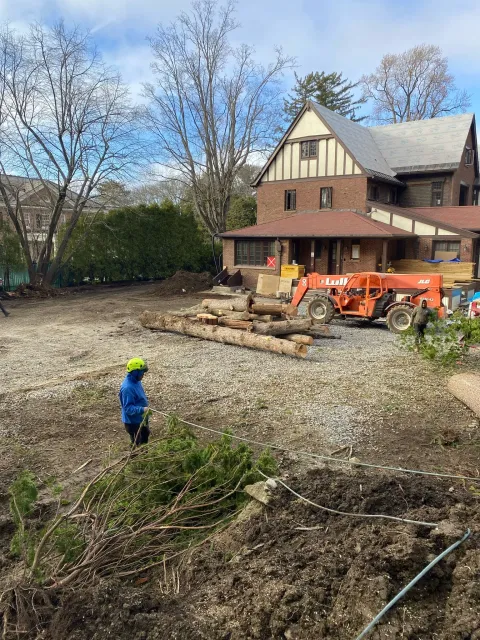 work photo from adantreeservices.com