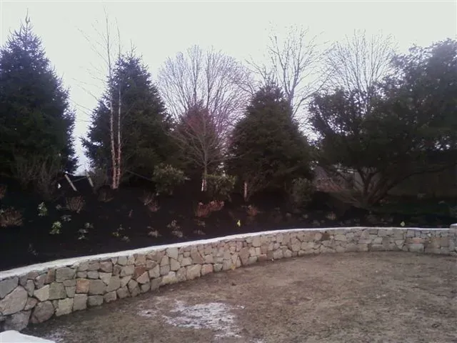 Curved stone retaining wall bordering a bare yard with evergreen trees and shrubs in the background
