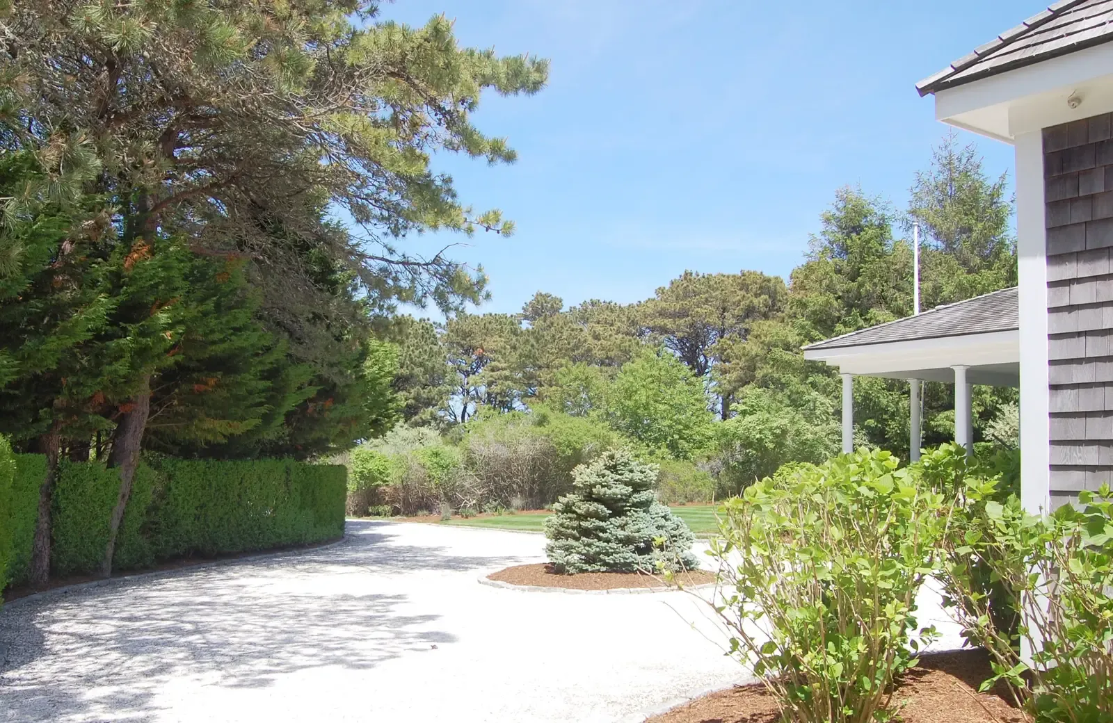 Barstow Road residence - terraces and plantings