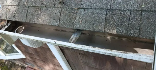 Gutter and roof edge with debris and a small animal trap beside wooden siding