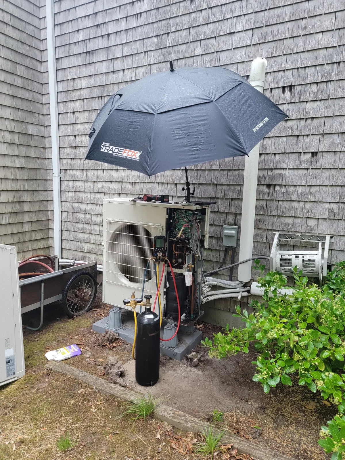 work photo from Google listing