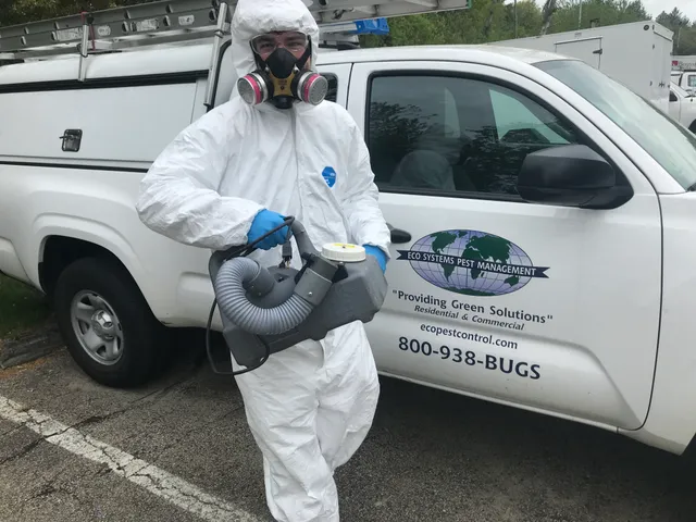 Eco Systems Pest Control Inc. - A Division of Modern Pest Services work photo