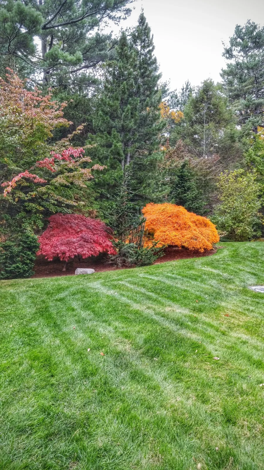 Fall Garden