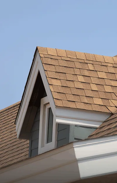 Asphalt Shingle Services