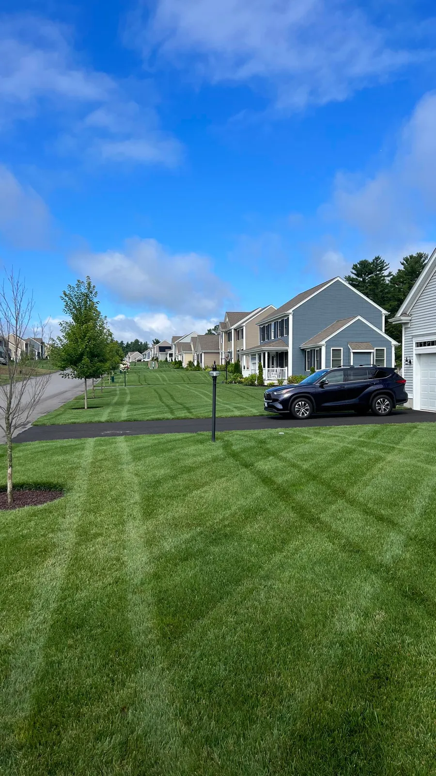 work photo from proturfcare.net