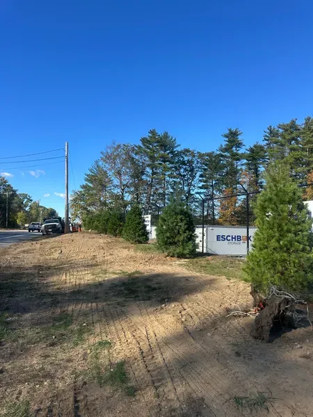 Grassy roadside with trees, a utility pole, and a sign under a clear blue sky.