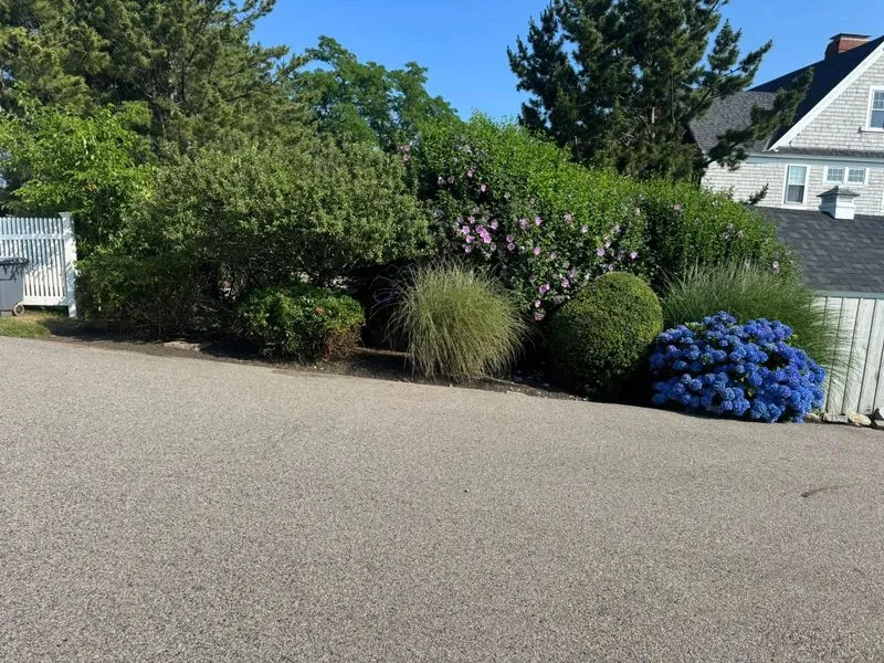 Shrub Trimming and Pruning