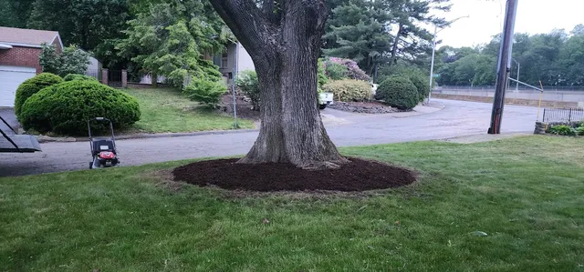 Estate Maintenance