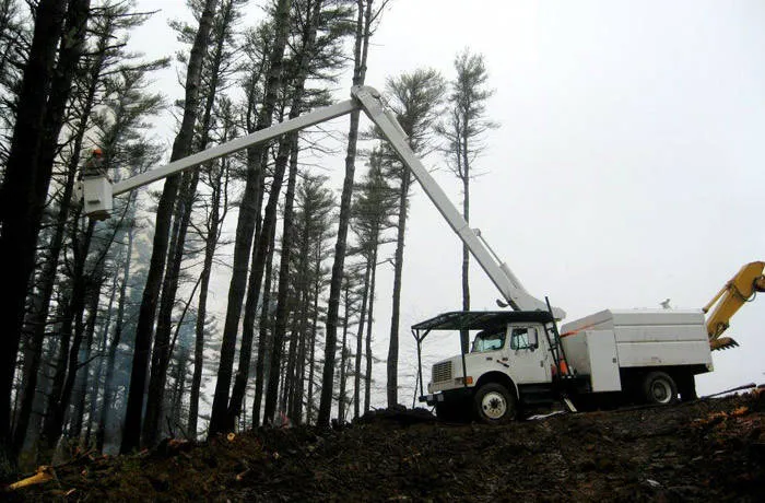 work photo from robbleetreeservice.com