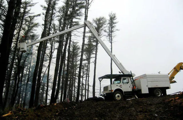 work photo from robbleetreeservice.com