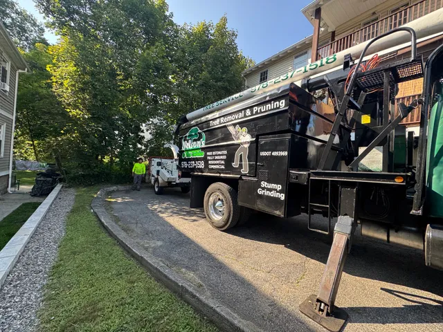 work photo from Google listing