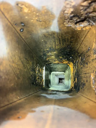 Review photo by Susanne Teitell