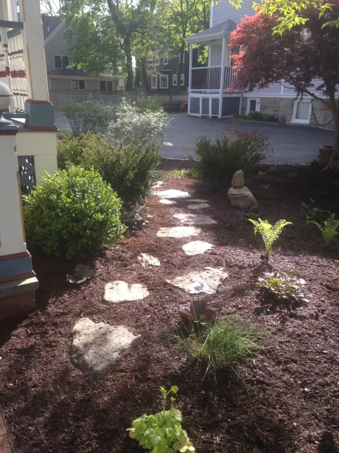 Front yard redesign, Newton MA