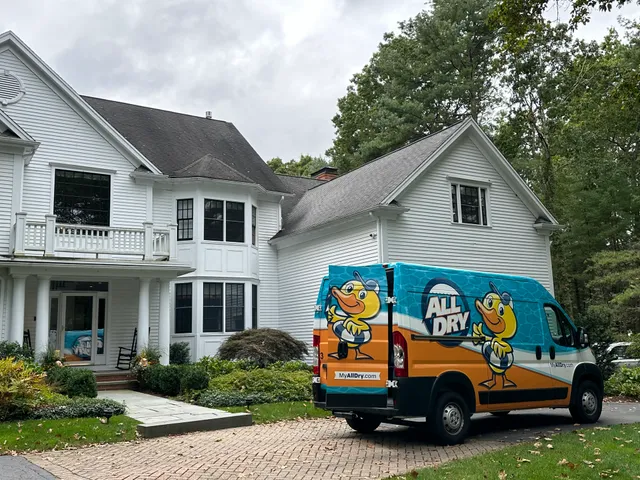 All Dry Services Hingham: Water, Fire, Mold work photo