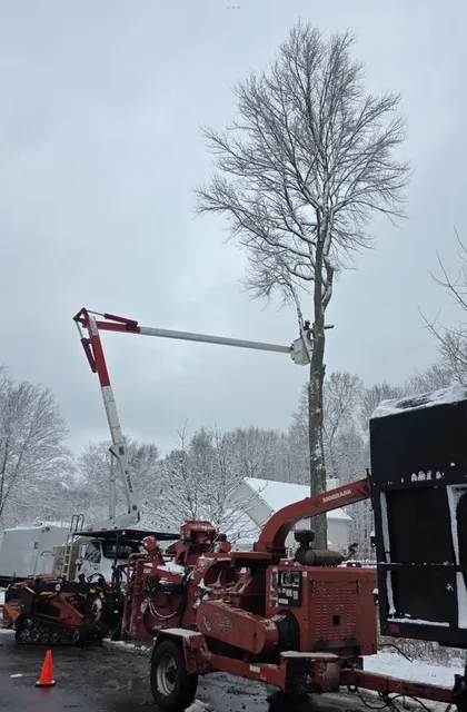 work photo from arbortechct.com