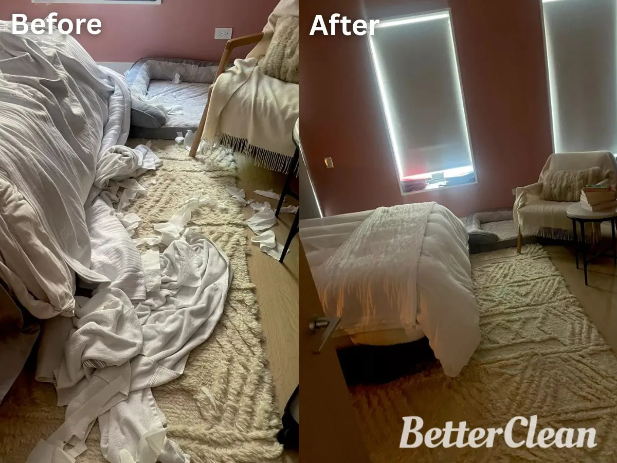 Better Clean Services Boston