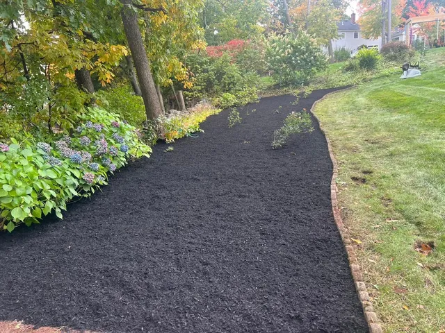 M&L LANDSCAPING, CONSTRUCTION AND MORE INC