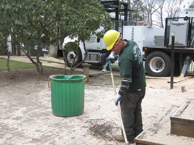 work photo from sandweisstrees.com