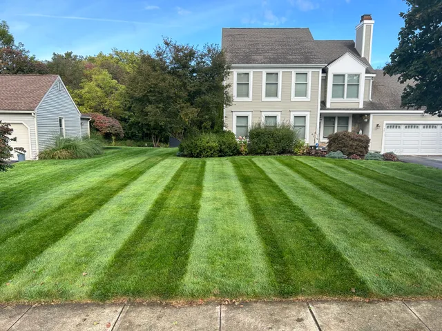 DIBS LANDSCAPING work photo