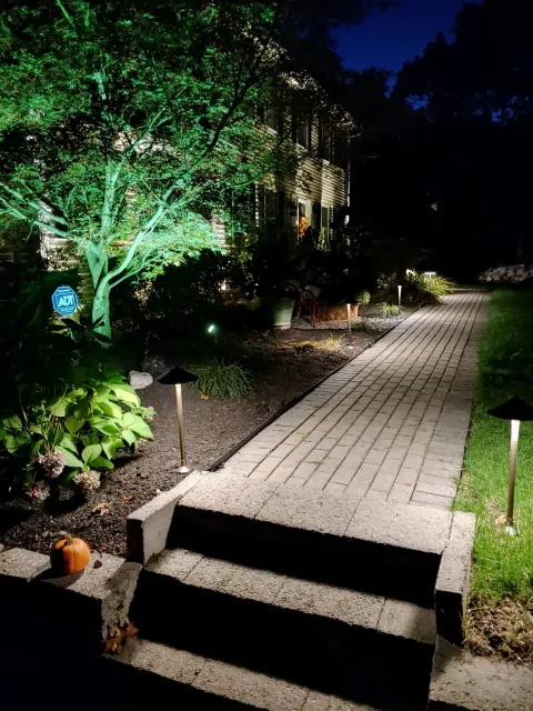 Garden Lights