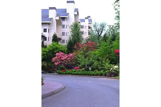work photo from sanmarinolandscape.com