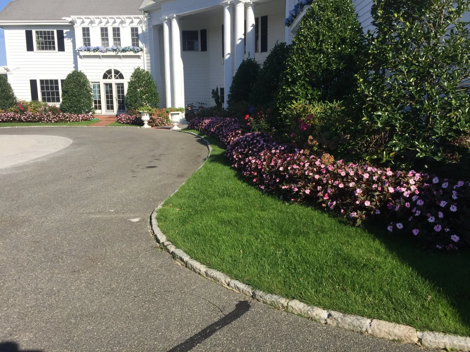 Large white house with columns, surrounded by green lawn and pink flowers, under a clear blue sky.