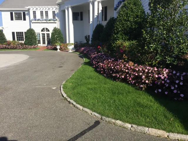 Large white house with columns, surrounded by green lawn and pink flowers, under a clear blue sky.