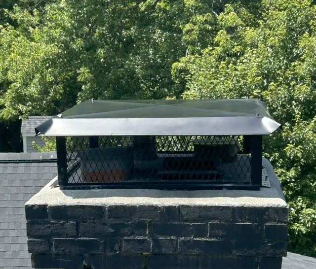Chimney with black cap and mesh screen against a backdrop of green trees.