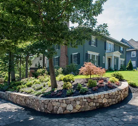 Ciro Carbone Landscaping work photo