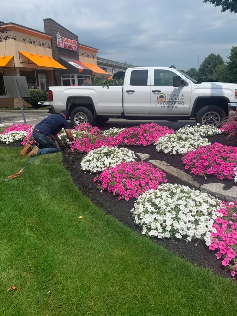 Town & Country Landscaping, Inc. work photo