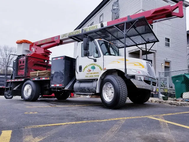 Lopez Landscaping & Tree Service LLC