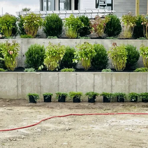 Oliver's Landscaping researched project photo