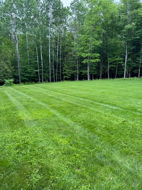 Lawn