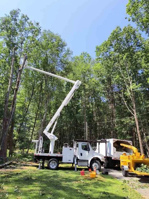Village Tree Llc work photo