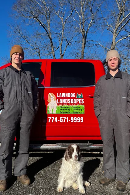 work photo from Google listing