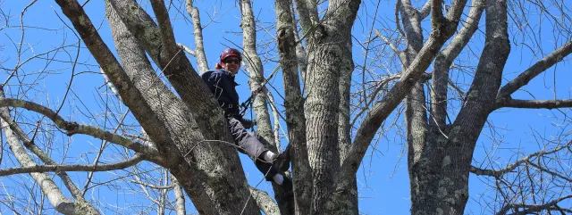 work photo from fagantree.com