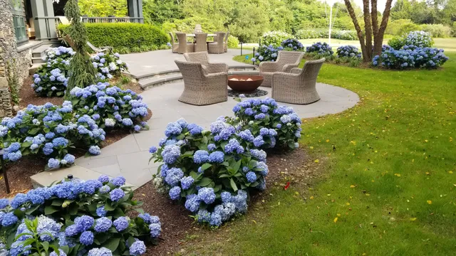 Shalvey Bros Landscape, Inc. work photo